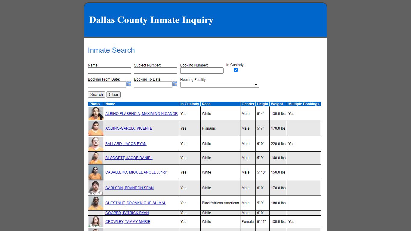 Inmate Search - Dallas County, Iowa